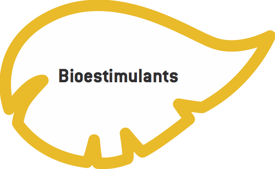 bioestimulant